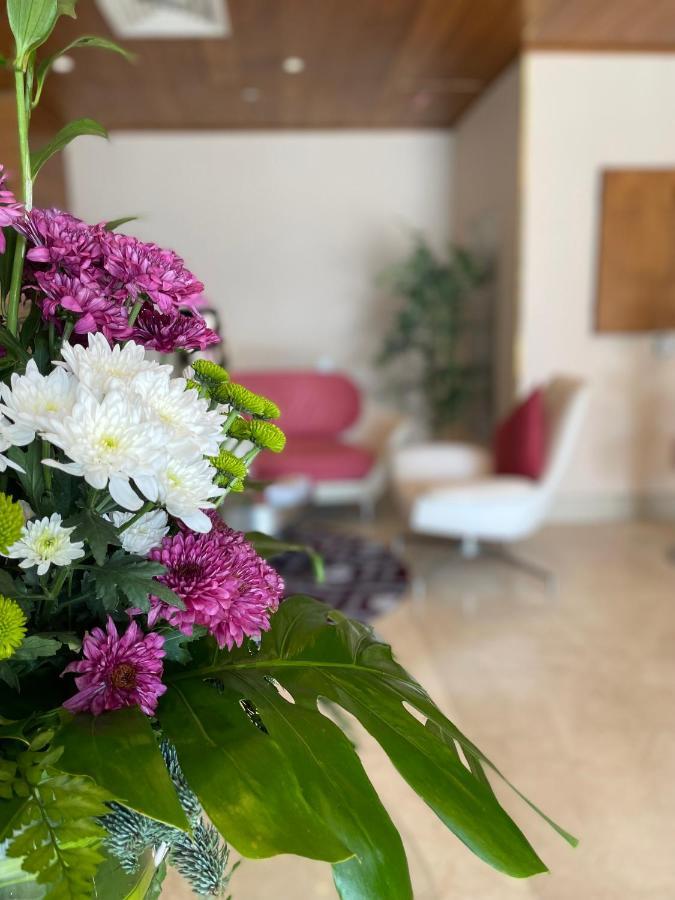 Al Mansour Plaza Hotel